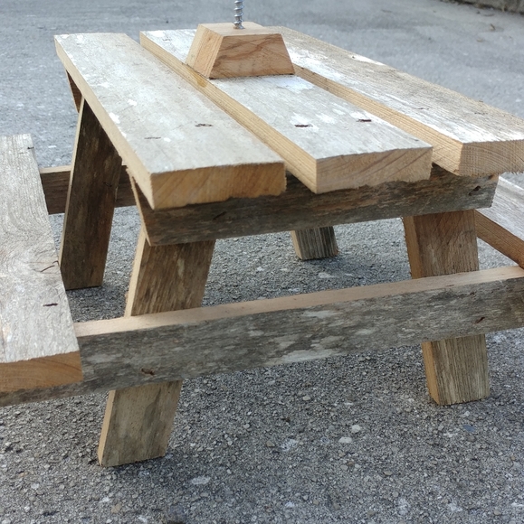 Squirrel corn picnic table novelty feeder gift - Picture 7 of 15